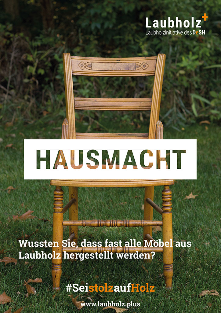 Laubholz+ Kampagne - Plakate HAUSMACHT